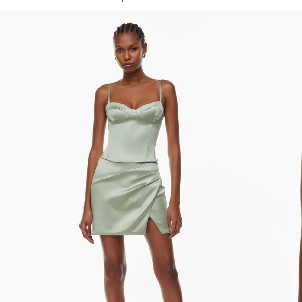 ARITZIA Corset Dazzle Satin Bustier Top
